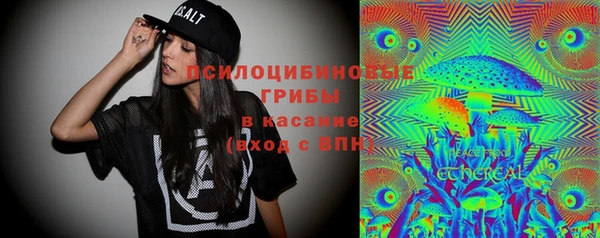 МДПВ Иннополис