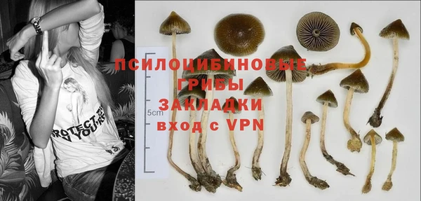первитин Инсар