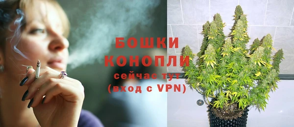 мет Каменка